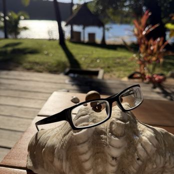 Montana Optometry - Close up of glasses on a clam shell in a tropical environment - Optometrists Near Me - Santa Monica, California