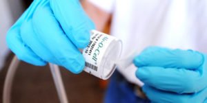 Mold Solutions - mold inspector in Mesa, AZ