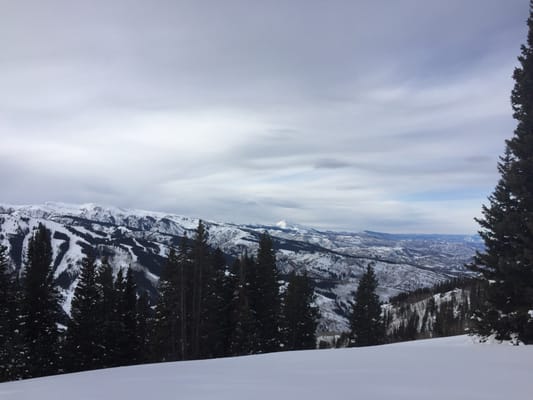 Aspen Center for Environmental Studies by null