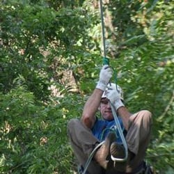 Champion Tree Care