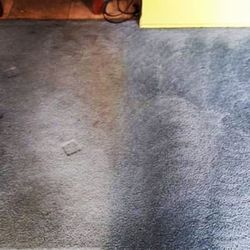 Attention to Detail Carpet Cleaning - Traffic lane half done