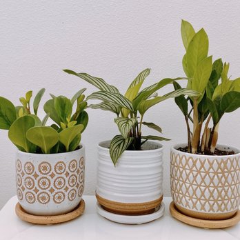 Shade Home and Garden - Nurseries & Gardening Near Me - Orem, Utah