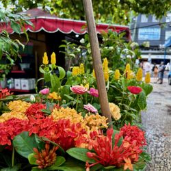 Feira Hippie de Ipanema
