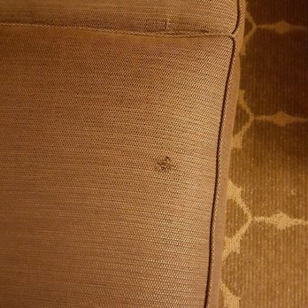 Embassy Suites by Hilton Denver Tech Center - Stain on both sides of cusion - Hotels Near Me - Centennial, Colorado Embassy Suites by Hilton Denver Tech Center - Stain on both sides of cusion - Hotels Near Me - Centennial, Colorado