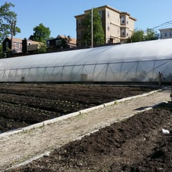 Revision Urban Farm - View of the green house