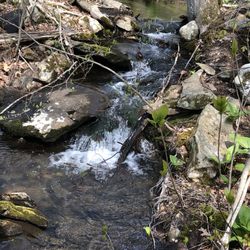 Sprague Land Preserve