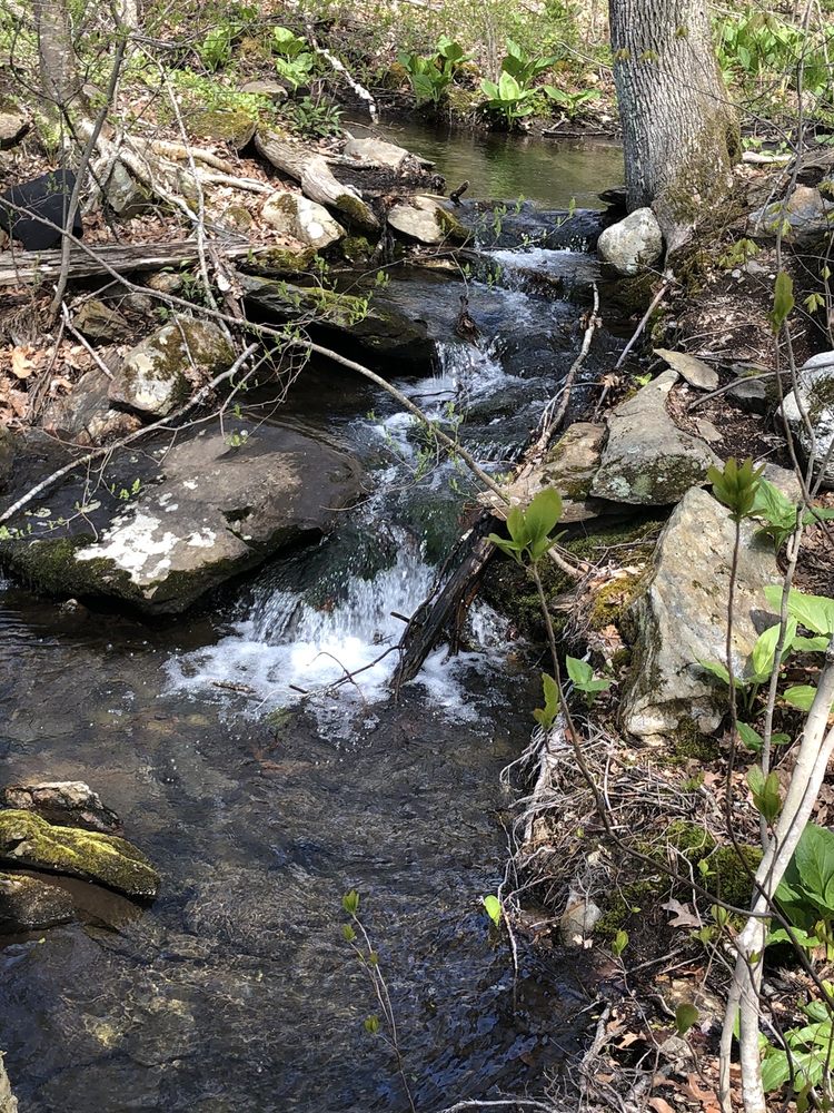 SPRAGUE LAND PRESERVE Updated April 2024 Horton Rd, Sprague