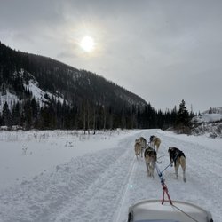 Grizzle-T Dog & Sled Works - The way out