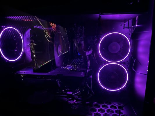 Computer Renaissance