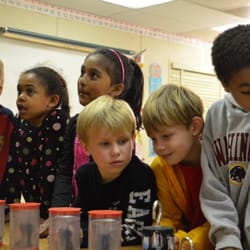 Mad Science of Washington DC