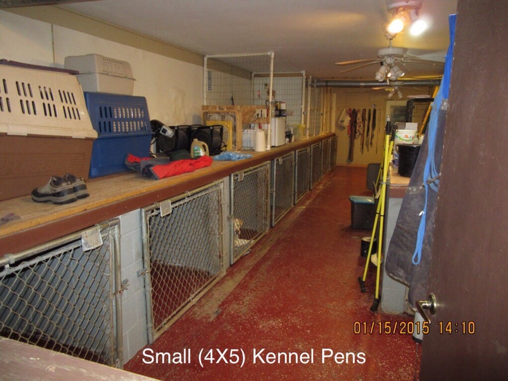 PINES KENNEL BOARDING AND GROOMING Updated August 2024 Sparta