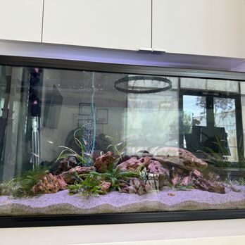 1. Bay Ace Aquarium Service