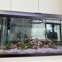 Photo of Bay Ace Aquarium Service