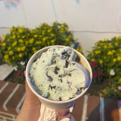 Sea Shell Ice Cream - Chocolate chip mint