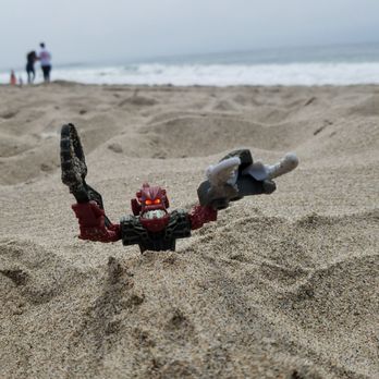 Palm Beach State Park - Getting buried in the sand.. - Parks Near Me - Watsonville, California Palm Beach State Park - Getting buried in the sand.. - Parks Near Me - Watsonville, California