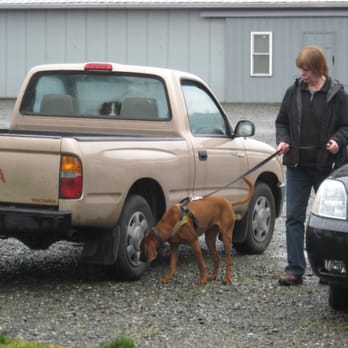 Seattle Agility Center - Dixie searching vehicle - Pet Training Near Me - Maple Valley, Washington Seattle Agility Center - Dixie searching vehicle - Pet Training Near Me - Maple Valley, Washington