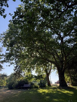 Woodland Park by null