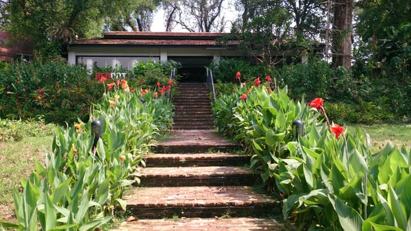 RedDot Brewhouse by null