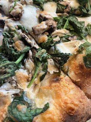 The Wedge Pizzeria by null