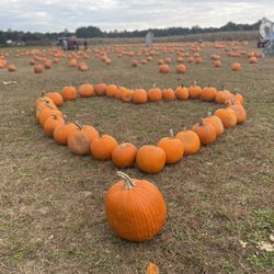 Bb & Gg Farms & Nursery