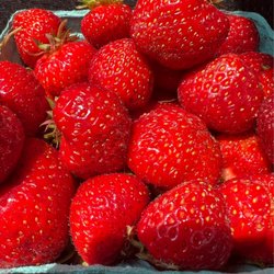 Brunswick Farmer's Market on The Mall - Strawberries 2023!!