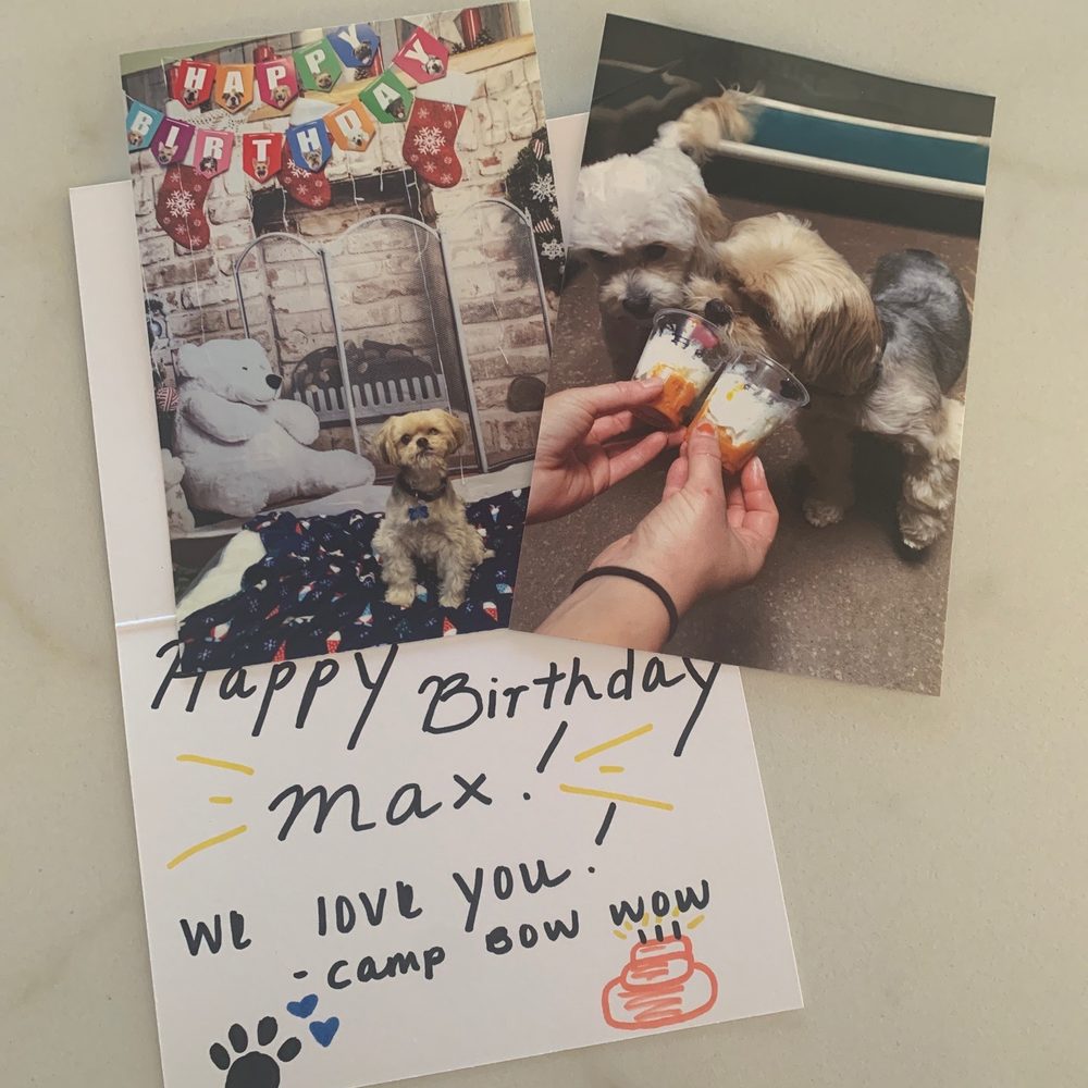 Camp Bow Wow - San Clemente - Pet Groomers Near Me - San Clemente, California Camp Bow Wow - San Clemente - Pet Groomers Near Me - San Clemente, California