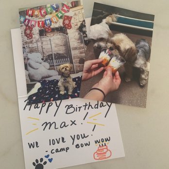 Camp Bow Wow - San Clemente - Pet Groomers Near Me - San Clemente, California Camp Bow Wow - San Clemente - Pet Groomers Near Me - San Clemente, California