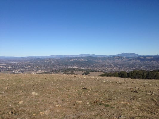 Taylor Mountain Regional Park by null