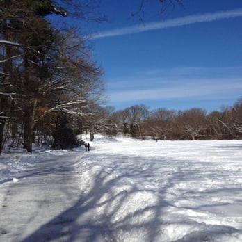 Beaver Brook Reservation - Beaver brook near the far (south) side. Snow was moved after a snowstorm (it allowed for a nice morning walk with the dog) - Landmarks & Historical Buildings Near Me - Belmont, Massachusetts