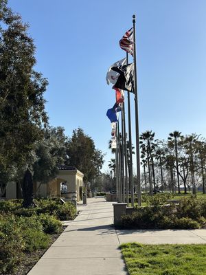 Central Park by null