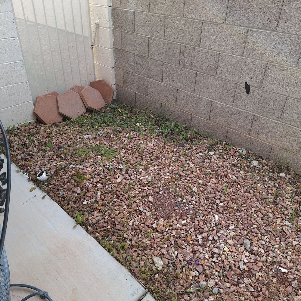 Dcancio Landscape - After photo, many weeds still growing, living their best life. - Landscape Architects or Designers Near Me - Manor, Texas