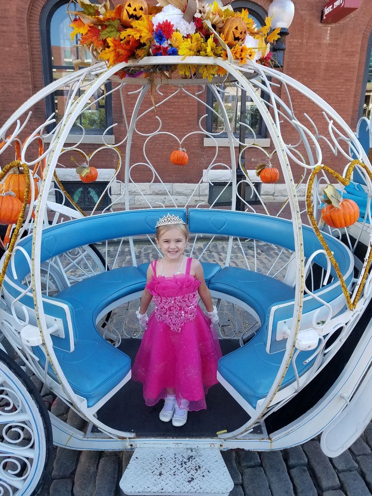 Carriage Rides St Louis Architect