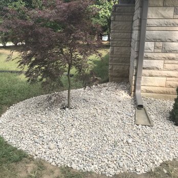 Infinite Grace Landscaping  -  small tree in a gravel bed - Landscaping Near Me