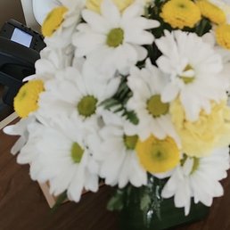 My mom loved daisies. My mom loved daisies.