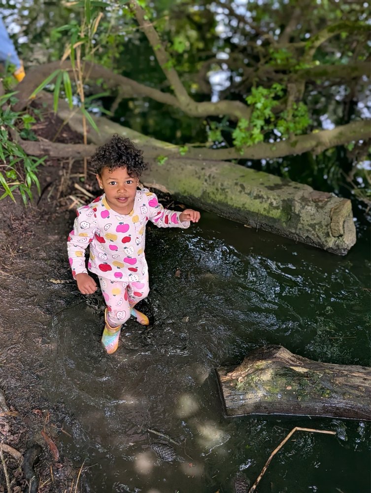 Little Forest Explorers - childcare center in San Francisco, CA