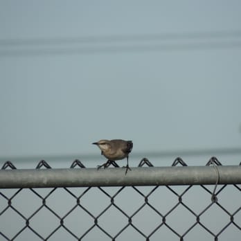 Tanzanite Park - Mockingbird pre-launch - Parks Near Me - Sacramento, California Tanzanite Park - Mockingbird pre-launch - Parks Near Me - Sacramento, California