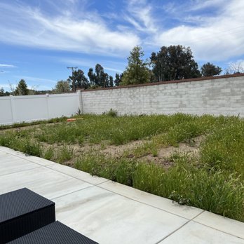 Sierra Landscape - Before - Landscaping Near Me Sierra Landscape - Before - Landscaping Near Me
