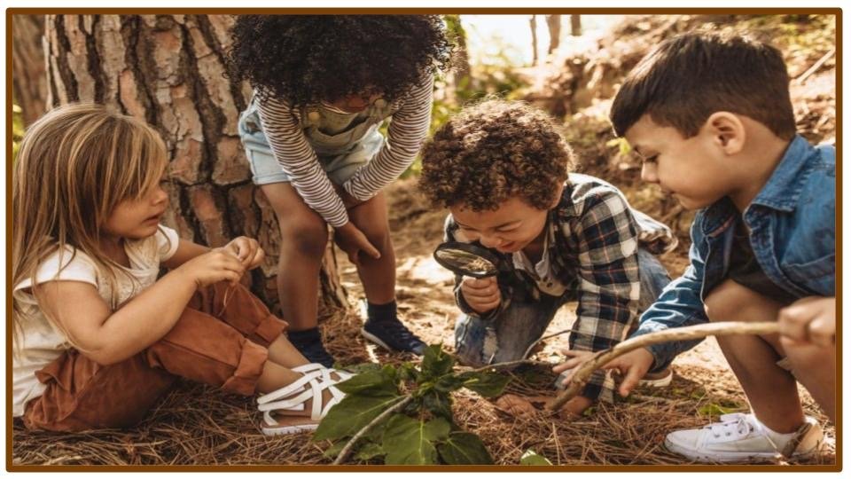 The Wilderness Preschool - childcare center in Nashville, TN