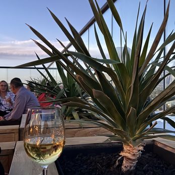 The Moonstone - The image shows a glass of white wine on a wooden table, with a large potted plant featuring long, pointed leaves nearby. In the background, people are seated outdoors on a rooftop patio with glass railings, and a cityscape with a partly cloudy sky is visible. The setting appears to be a social gathering at a rooftop bar or restaurant. - Bars Near Me - Tucson, Arizona