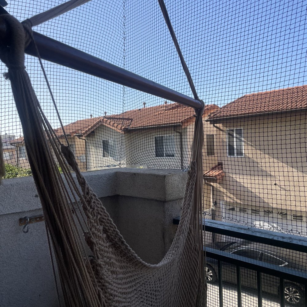 Advanced Wildlife Removal - Balcony - Pest Control Near Me
