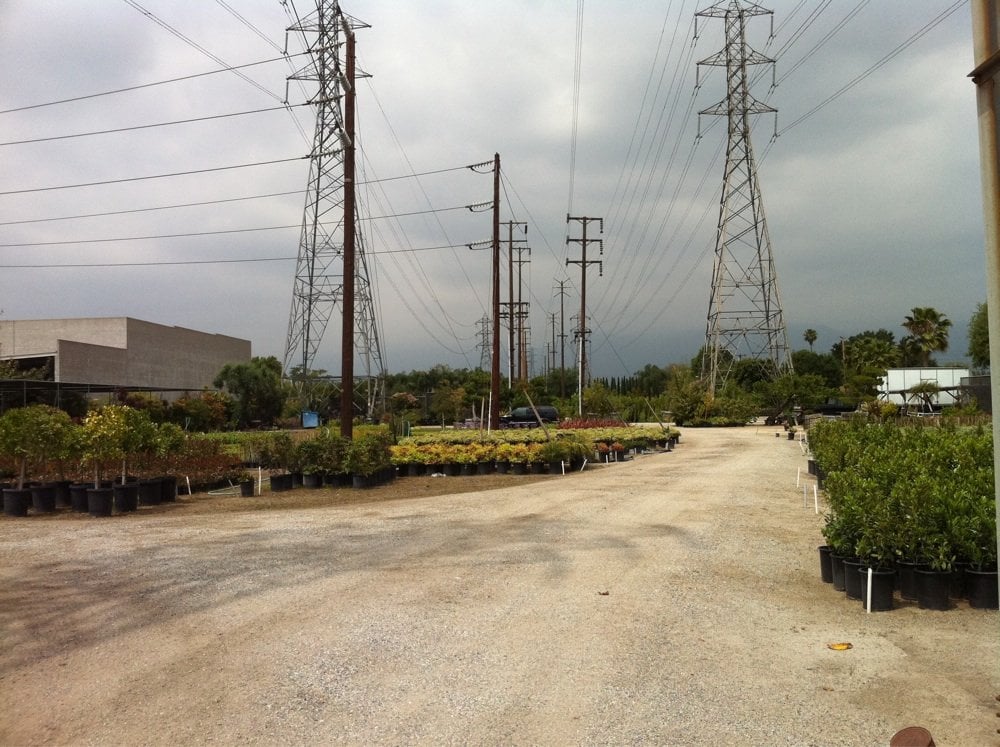 SHIMA NURSERY 8625 Grand Ave, Rosemead, California Nurseries