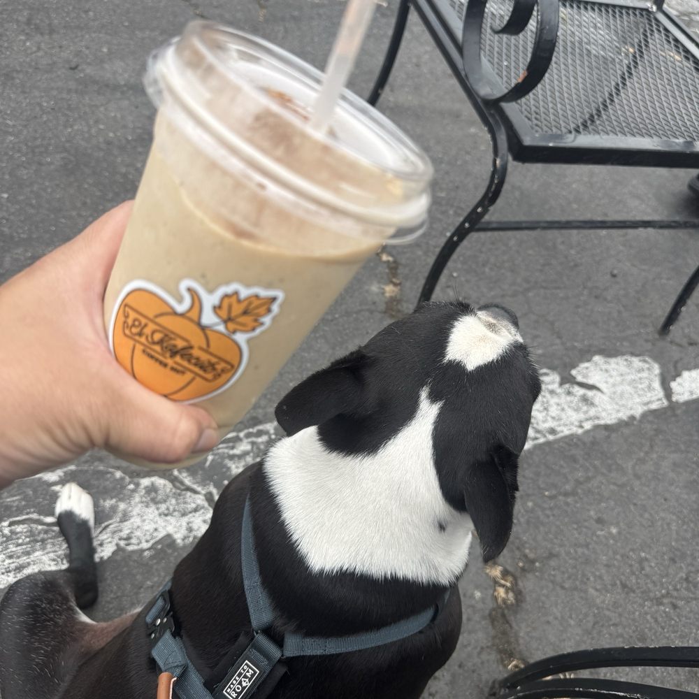 El Kafecito Hut - Coffee & puppies are 2 of my favorites - Coffee & Tea Near Me - Vista, California El Kafecito Hut - Coffee & puppies are 2 of my favorites - Coffee & Tea Near Me - Vista, California