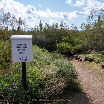 Usery Mountain Regional Park - buckhorn nature trail - Parks Near Me - Mesa, Arizona Usery Mountain Regional Park - buckhorn nature trail - Parks Near Me - Mesa, Arizona