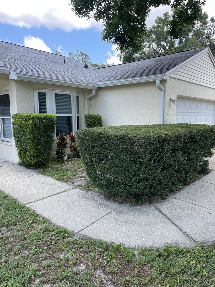 Slide of Bay Area Landscape and Pressure Washing