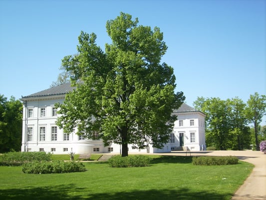 Schloss Neuhardenberg by null