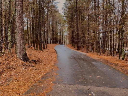 Photo of Alexander Park - Lawrenceville, GA, US. Trail