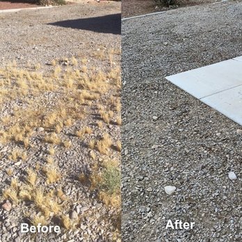 Arellano’s Tree Service - Front yard weed removal/clean up. - Tree Services Near Me