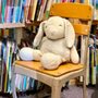 Photo of A Novel Idea Bookstore