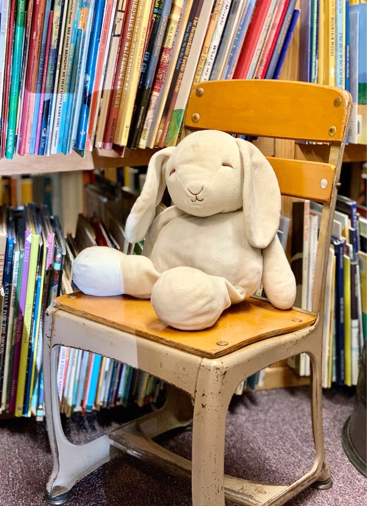 A Novel Idea Bookstore