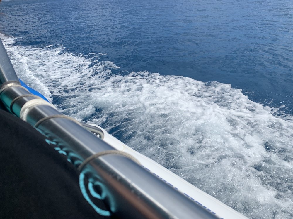 HONOLULU SNORKEL CLOSED 74 Photos & 78 Reviews 1085 Ala Moana